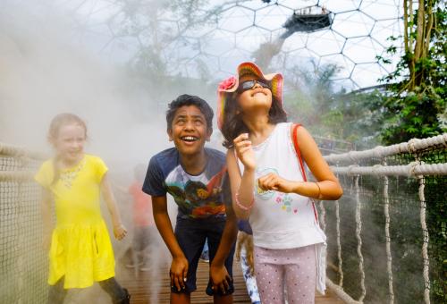 Children on Cloud Bridge in Rainforest Biome at Eden Project